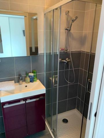 אקס-לה-באינס Petit Studio Dans Villa Bord De Lac מראה חיצוני תמונה